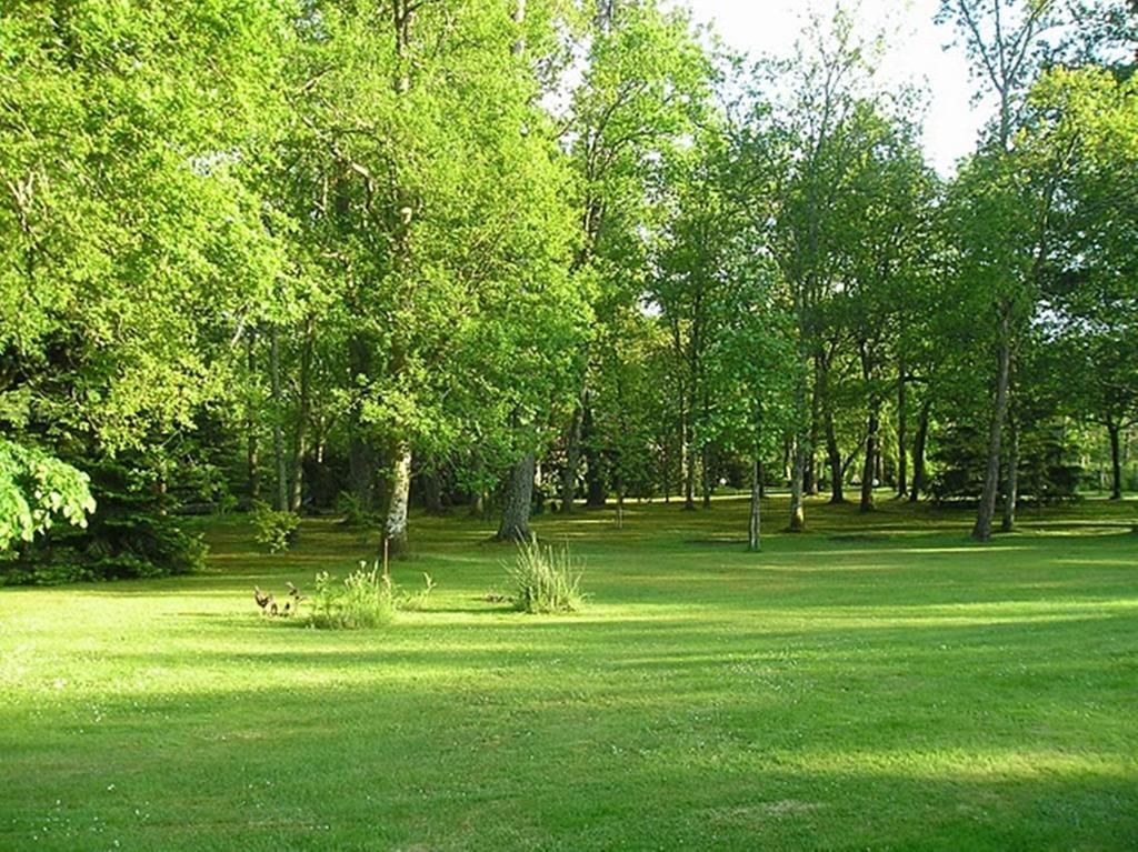 Parc De L'Aiguade Bed & Breakfast Saint-Paul-les-Dax Room photo